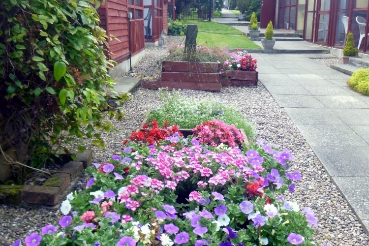 Flower beds in August